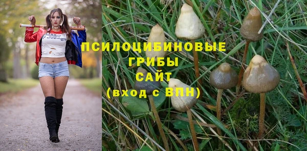 прущая мука Заволжск