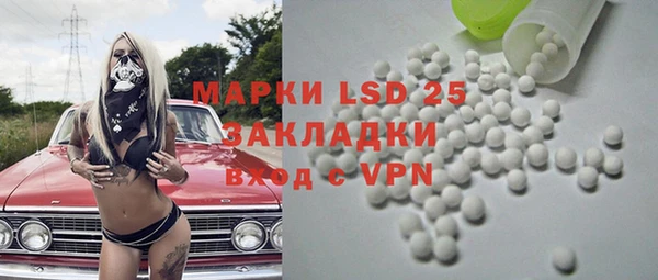 ГАЛЛЮЦИНОГЕННЫЕ ГРИБЫ Заводоуковск