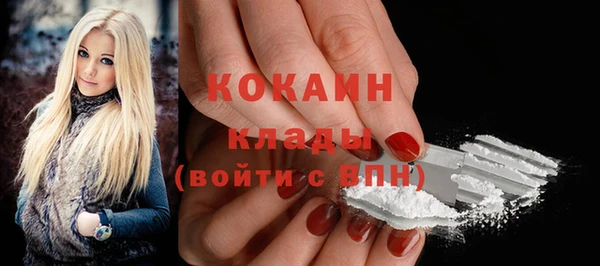 шишки Заволжье