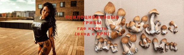 эйфоретик Зеленокумск