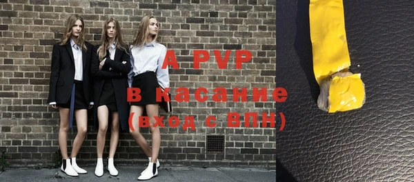 шишки Заволжье
