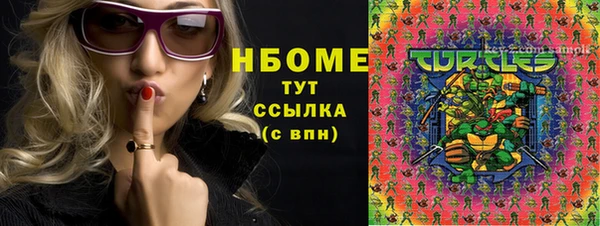 шишки Заволжье