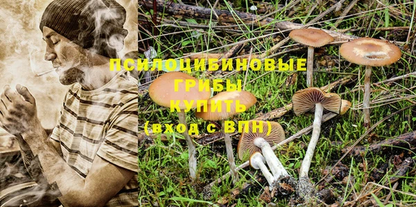 ГАЛЛЮЦИНОГЕННЫЕ ГРИБЫ Заводоуковск