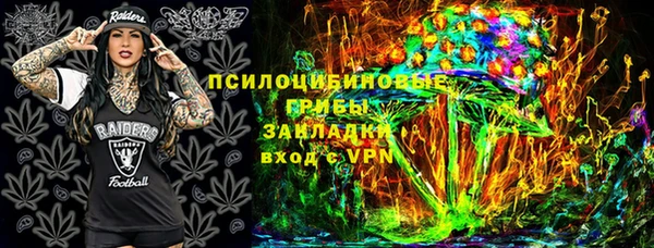 шишки Заволжье