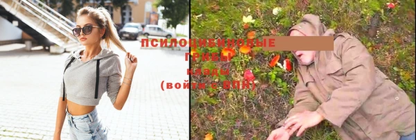 эйфоретик Зеленокумск
