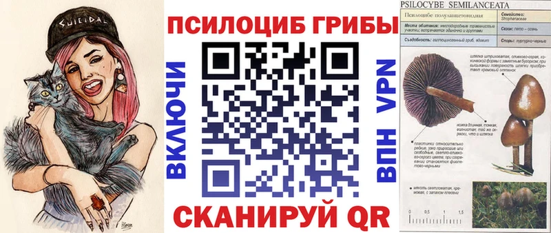 shop какой сайт  кракен ССЫЛКА  Мирный  дарнет шоп  Псилоцибиновые грибы Magic Shrooms 
