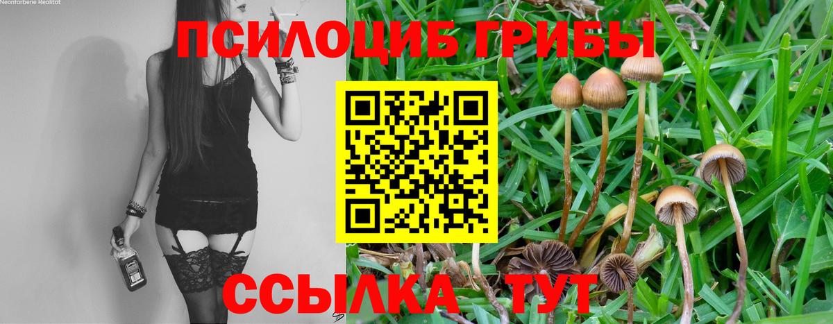 Мирный  Галлюциногенные грибы ЛСД  наркота  Псилоцибиновые грибы ЛСД  Вход с VPN 