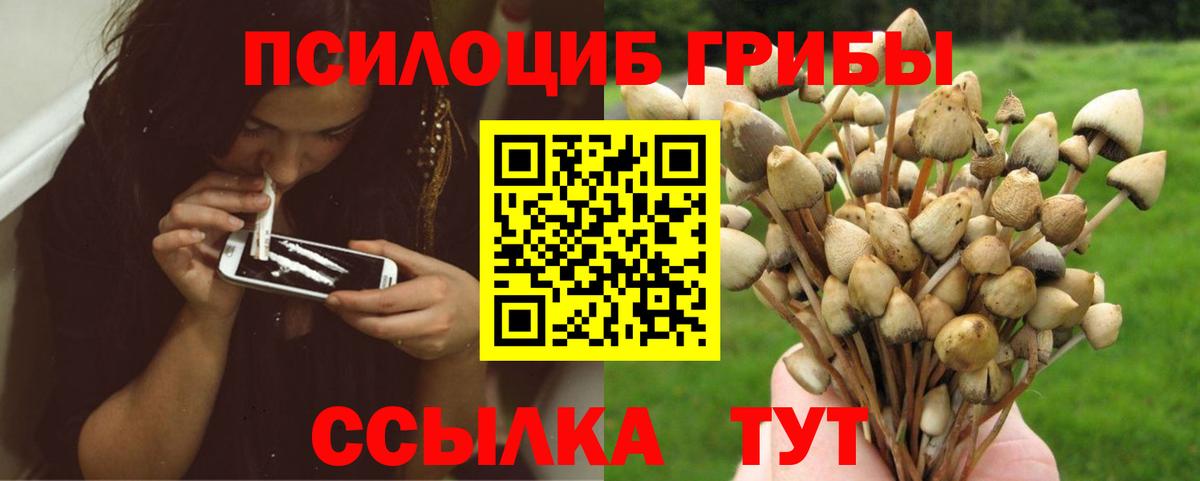 Мефедрон   МДМА  Экстази  Вход с VPN  ГАШ  Меф  Мирный  Марихуана 